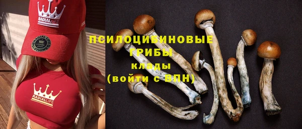 экстази Нягань